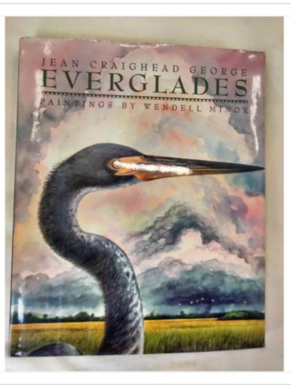 Everglades by Jean Craighead George 1995 Hardcover ISBN 0060212284
